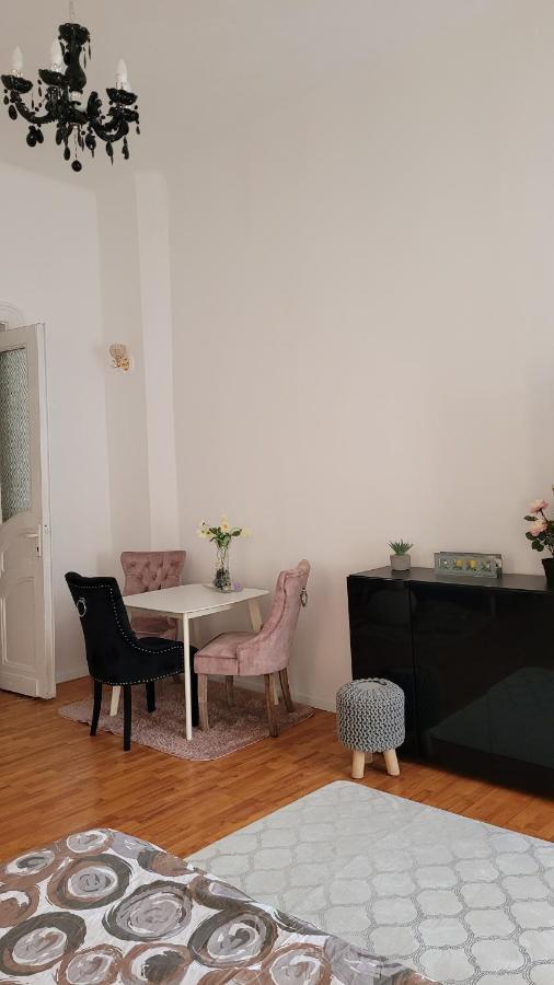 Opera Victoriei Residence - Ultracentral Cozy Accommodation Timisoara Exterior photo