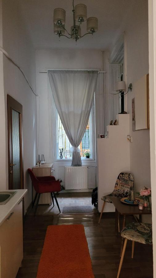 Opera Victoriei Residence - Ultracentral Cozy Accommodation Timisoara Exterior photo