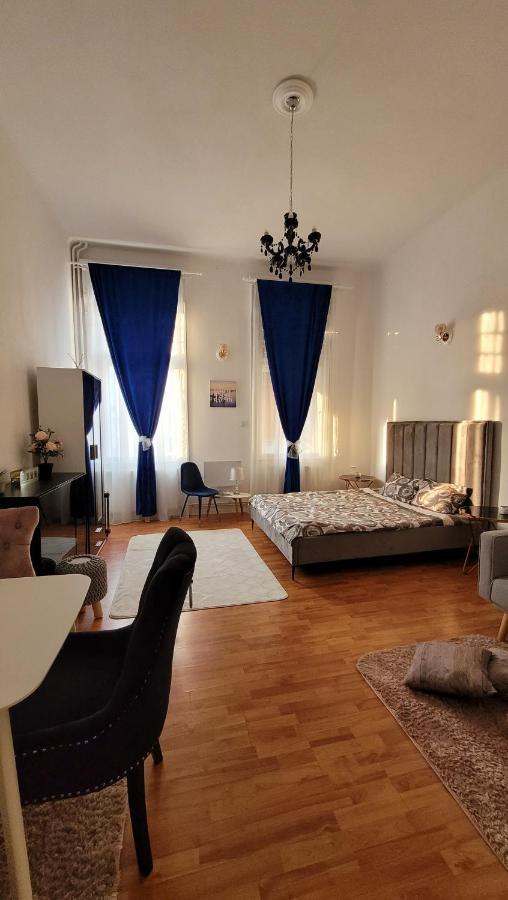 Opera Victoriei Residence - Ultracentral Cozy Accommodation Timisoara Exterior photo