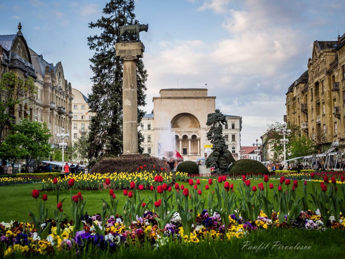 Opera Victoriei Residence - Ultracentral Cozy Accommodation Timisoara Exterior photo